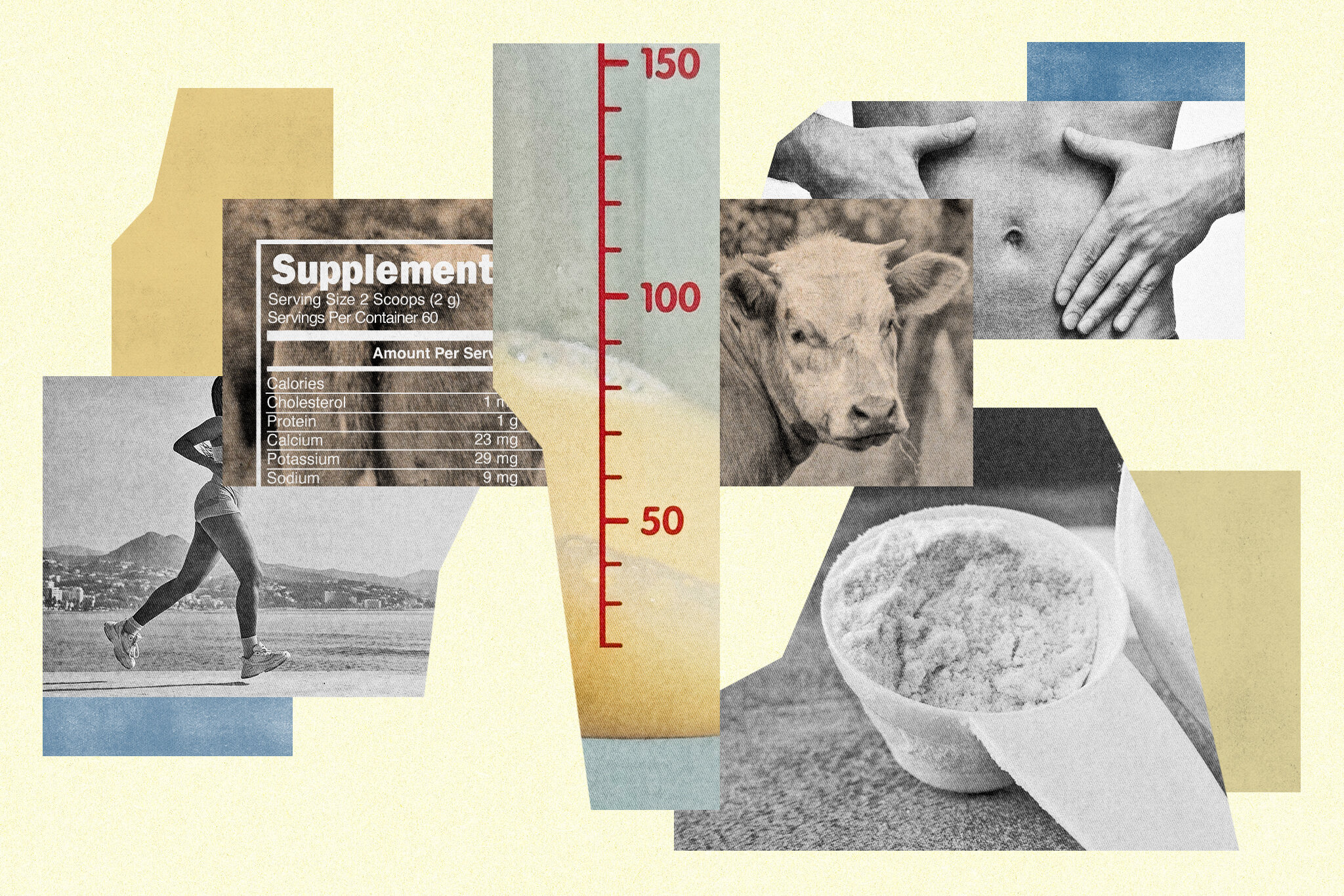 6 Uses of Bovine Colostrum